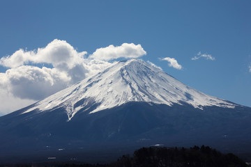 河口湖から望む富士山