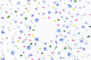 Flowers composition. Frame made of different little flowers on white background. Flat lay, top view