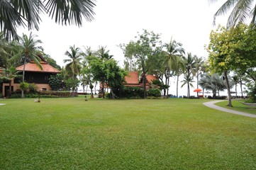 Fototapeta na wymiar green grass field and coconut tree with Thailand house background at resort in Thailand