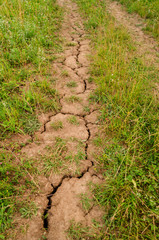 agriculture, cracked up road in nature cause of dried up soil climate change