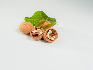 Worm walnut on a white background.
