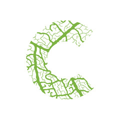Nature alphabet, ecology decorative font. Capital letter C filled with leaf veins pattern green background. Leaves texture hand draw nature alphabet. Vector illustration.