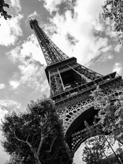 Bottom view of Eiffel Tower on sunny summer day, Paris, France. Black and white image.