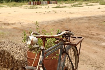 Obraz premium Vintage bicycles