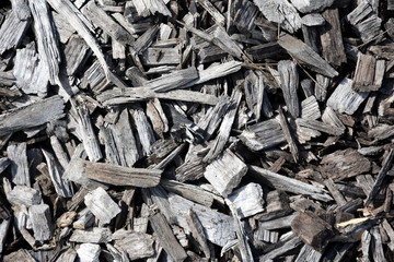 Gray and black Bark wood chippings mulch as an abstract coarse background texture.