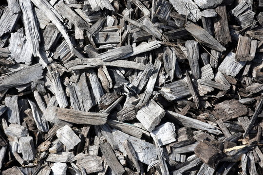 Gray And Black Bark Wood Chippings Mulch As An Abstract Coarse Background Texture.