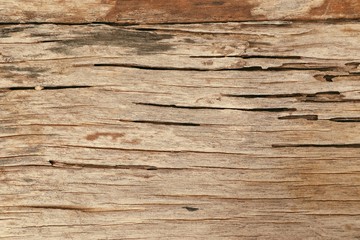 Fototapeta na wymiar wood background vintage texture