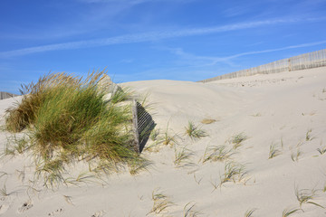 Costa Nova beach in Aveiro, Portugal