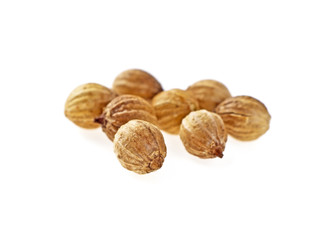 Seeds of coriander on a white background. Selective focus.
