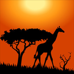 Africa safari - silhouettes of wild animals