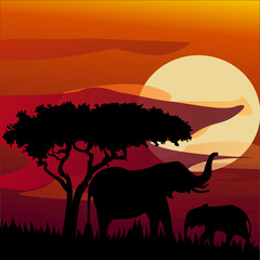 silhouette view of elephant at sunset