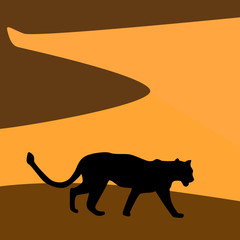 African landscape with tiger. Vector