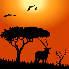 Fototapeta na wymiar Africa safari - silhouettes of wild animals