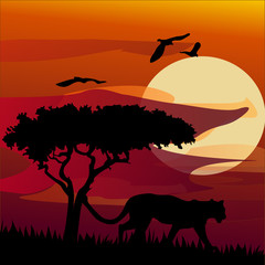 Fototapeta na wymiar African landscape with tiger. Vector
