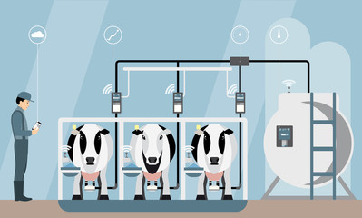Internet of things on dairy farm. Herd management and automatic milking. Vector illustration