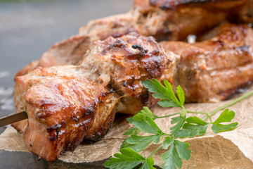 Grilled shish kebab or shashlik on skewers closeup