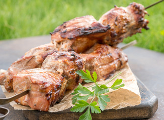 Grilled shish kebab or shashlik on skewers closeup