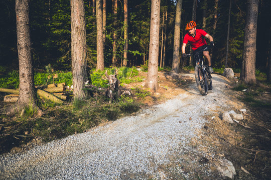 Mountain biker riding cycling in summer forest