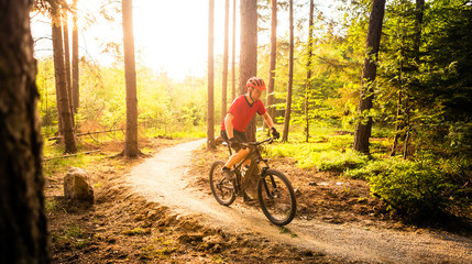 Obraz premium Mountain biker riding cycling in summer forest