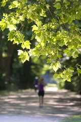 Obraz premium Joggen im Park