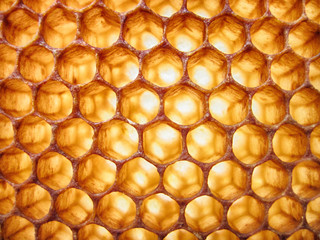 beeswax texture without honey