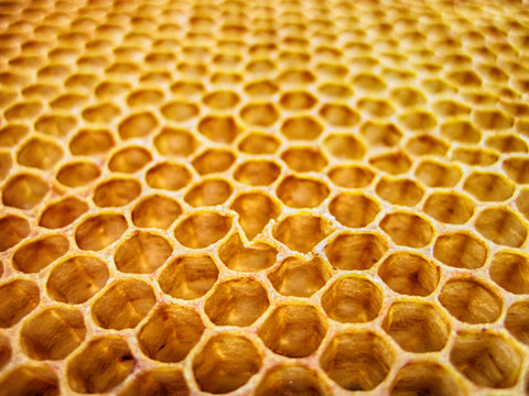 beeswax texture without honey