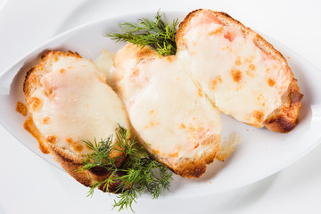 hot sandwich with salmon and mozzarella (close)