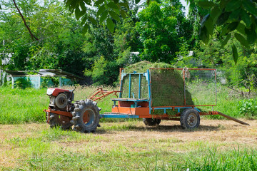 Old tractor with grass or hay on trailer. agriculture vehicle.