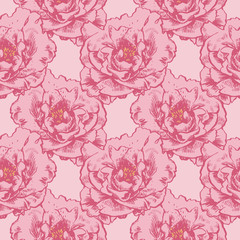 Hand-drawing peonies. Vector graphic flowers. Decorative background for cards, invitations. Template greeting card.