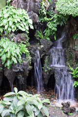 little waterfall among green leaf plants