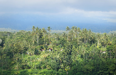A tropical jungle with small village houses and misty clouds on the background, Karangasem region of Bali island, Indonesia, November 2016