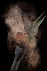 Powderbrushes  and powder splash.