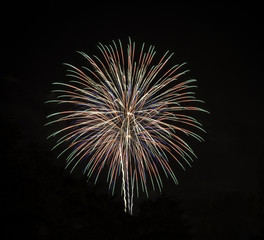 Red, green, and white fireworks burst against a black sky.