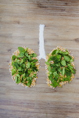 Overhead shot of human lungs made of dry peas and green leaves. Breathing clean air, saving the planet, air pollution, smoking, bad ecology, polluted environment, global warming concept issue symbol