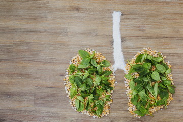 Overhead shot of human lungs made of dry peas and green leaves. Breathing clean air, saving the planet, air pollution, smoking, bad ecology, polluted environment, global warming concept issue symbol