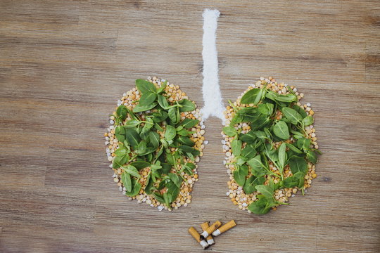 Overhead shot of human lungs made of dry peas and green leaves. Cigarette butts stubs next to the lungs. Smoking health risks, breathing polluted air concept issue symbol. Copy space.