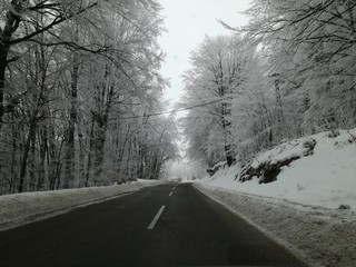 Obraz premium Winter landscape