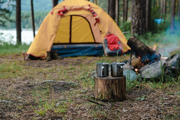 Two metal circles in the woods near the fire.