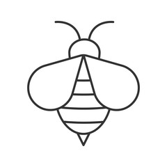 Honey bee linear icon