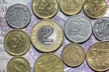 Polnische  Zloty  Münzen