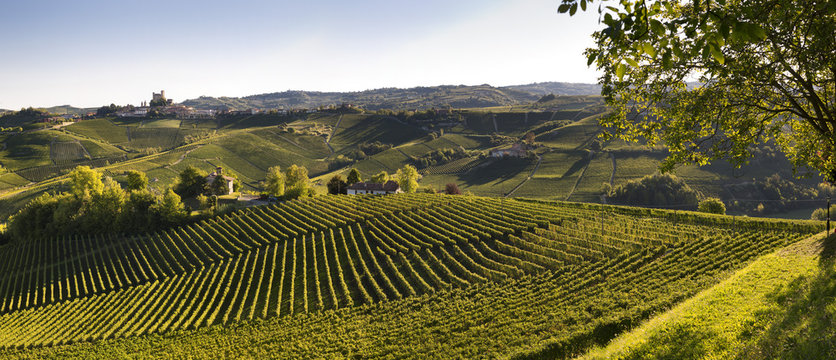Italy, Piedmont, Cuneo district, Langhe, Serralunga d'Alba