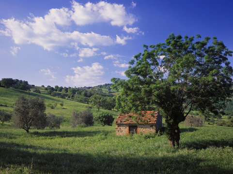 Italy, Tuscany, Grosseto district, Maremma