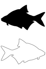 Common bream silhouette vector, (Abramis brama), 