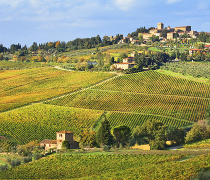 Italy, Tuscany, Firenze district, Chianti, Panzano in Chianti