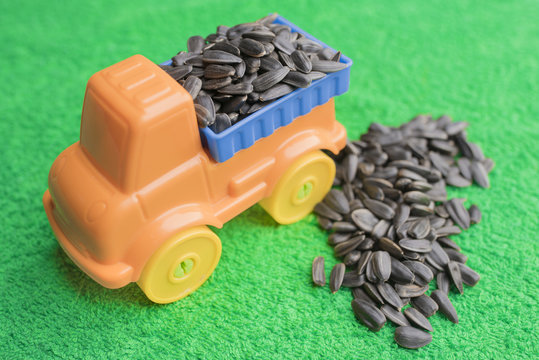 Black sunflower seeds lie in the back of a bright children's toy car and lie side by side on an emerald green background.