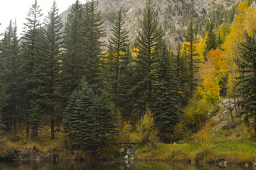Fall Trees, Lake and Rocky Cliffs