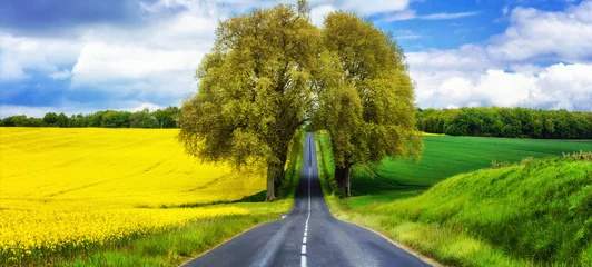 Foto op Canvas prachtige landschap van Frankrijk. Bloeiende gele velden in mei © Freesurf