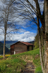 Wooden mountain hut