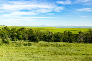 Nature in the steppe of Kazakhstan in the spring
