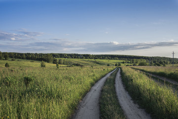 Fototapeta na wymiar The road in a bright green field, overgrown with tall grass, on the horizon in the distance a forest, a blue sky with clouds. Landscape.